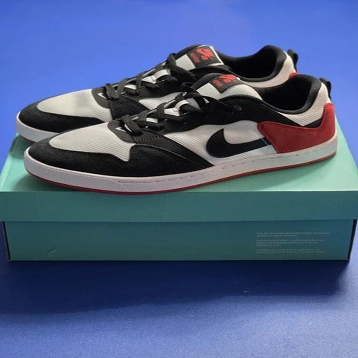 *New* Mens Size 11-Nike SB Alleyoop black Red Low-top